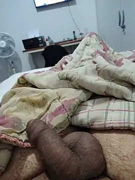 Show de webcam de Willdpo