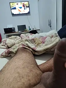 Show de webcam de Willdpo