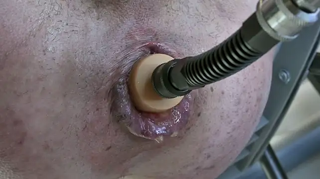 Show Webcam de JacsHole