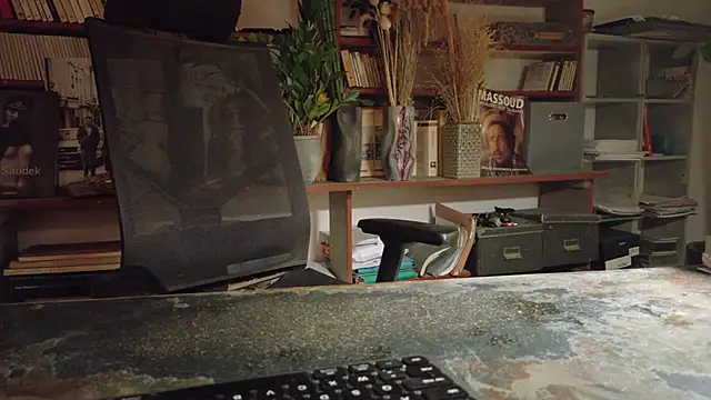 yvanbonarn Webbikameraesitys