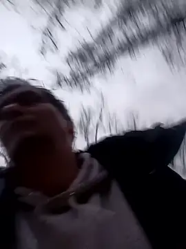 Show webcam de twitshe