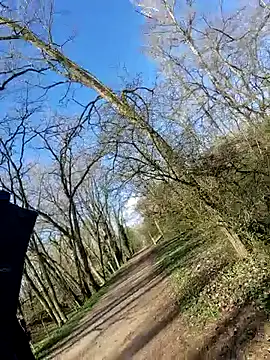 twitshe 在線直播表演