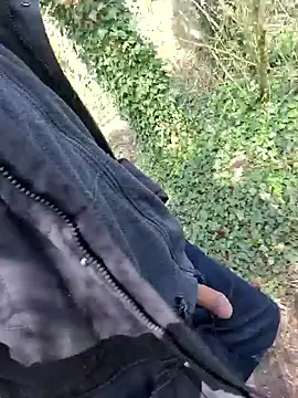 Show modela twitshe na web-kameri