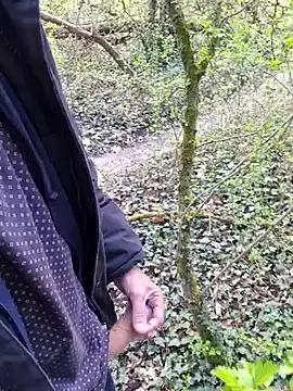 โชว์เว็บแคมของ twitshe