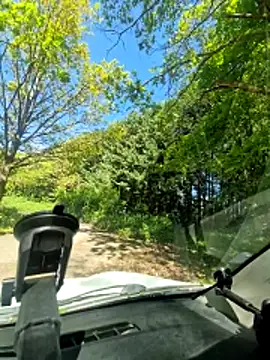 Show de webcam de twitshe