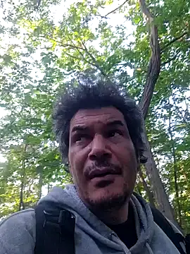 twitshe Show in webcam