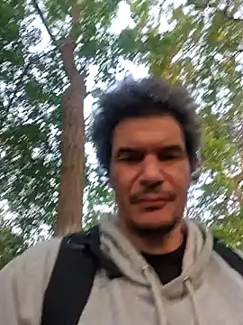 twitshe: вебкам-шоу