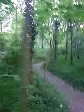 twitshen Webbikameraesitys