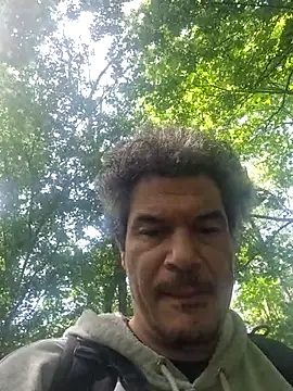 twitshe: вебкам-шоу