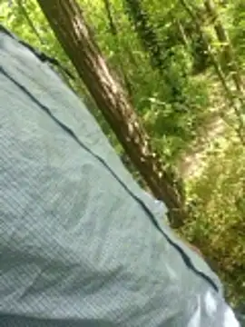 twitsheのウェブカメラショー