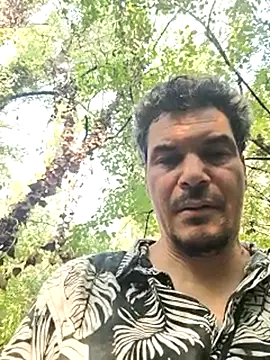 twitshen Webbikameraesitys