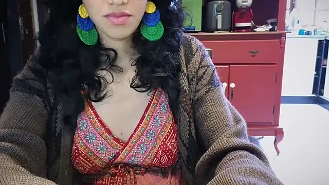 Goddesmyyn Webbikameraesitys