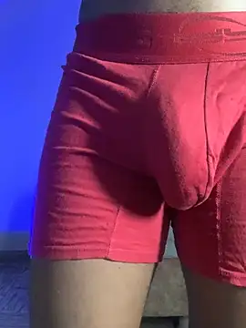 Show webcam de lymanporchst