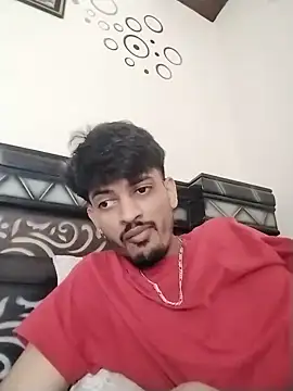 Show webcam de Wild_Vassu