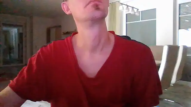 Show modela Trockenbau na web-kameri