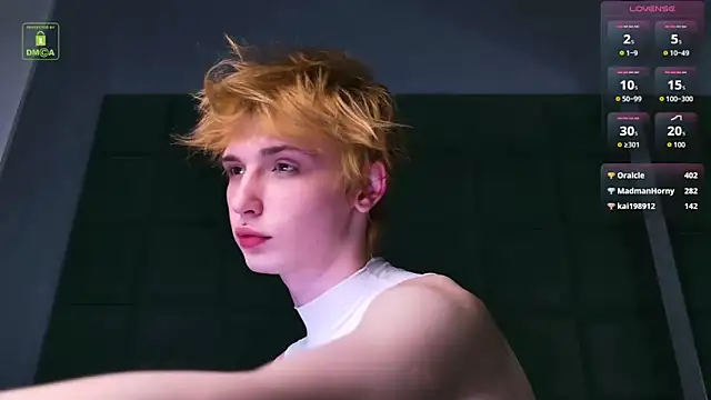 Your_avatarn Webbikameraesitys