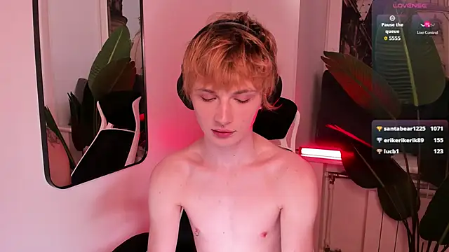 Your_avatar Show in webcam