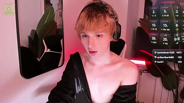 Your_avatar Show in webcam