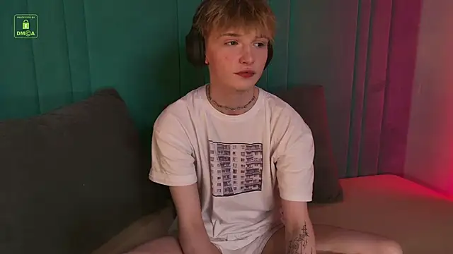 Your_avatar Show in webcam