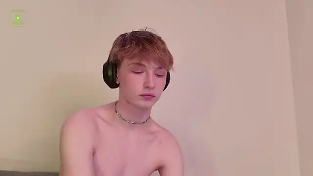 Your_avatar Show in webcam