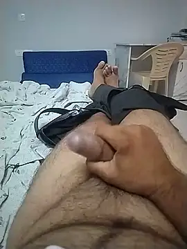 Show modela Desiandaj na web-kameri