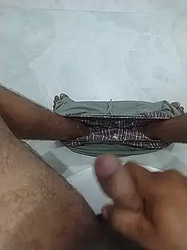 Desiandaj 웹캠 쇼