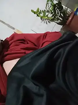 DuduZaunN2n Webbikameraesitys