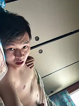 Show webcam de hiromu53