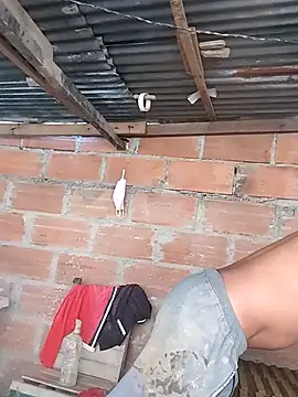 Show webcam de hoteder