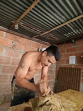 Show webcam de hoteder