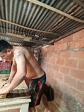 Show Webcam de hoteder
