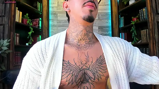 Show de Donovan_Desmond na webcam