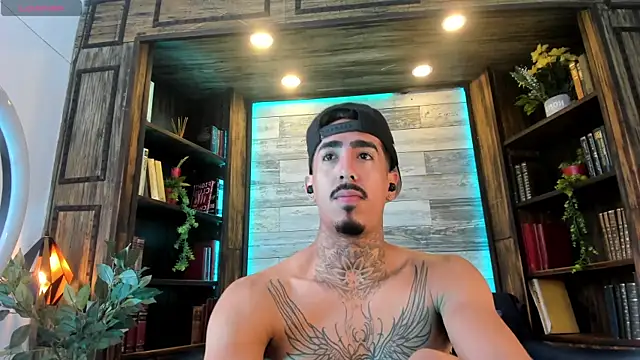 Donovan_Desmondn Webbikameraesitys