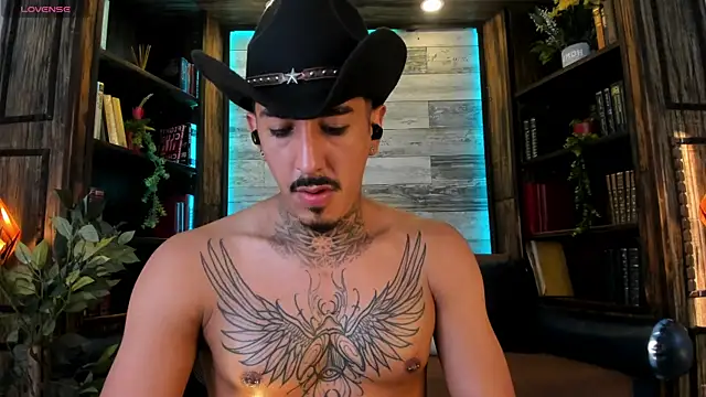 Show de Donovan_Desmond na webcam