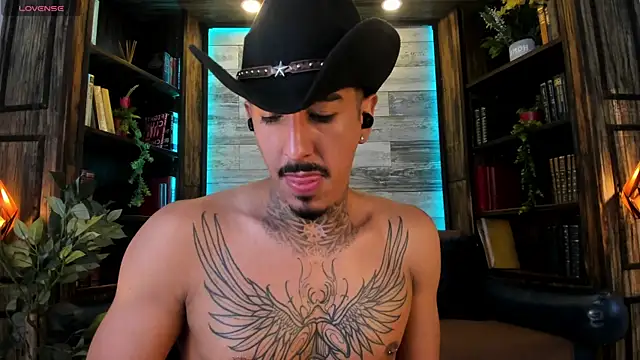 Show webcam de Donovan_Desmond