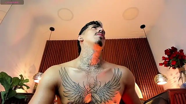 Donovan_Desmond Webcam Show