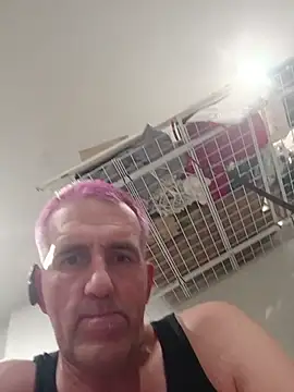 Smoothsilkcockn Webbikameraesitys
