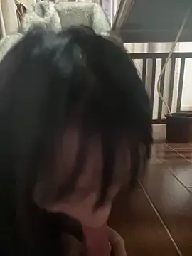 petoys Show in webcam