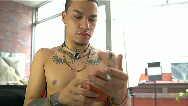 AlphaMasterXxx 网络视讯表演