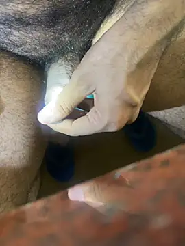Show de webcam de longfuckk