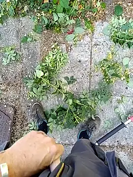 hamstercom3333のウェブカメラショー