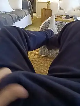 Show webcam de hamstercom3333
