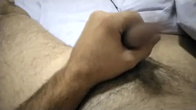 Pertunjukan Kamera Web poyamam