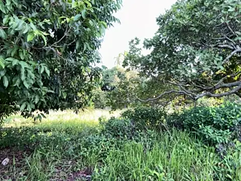 CasadoLutadorBigStuds 网络视讯表演