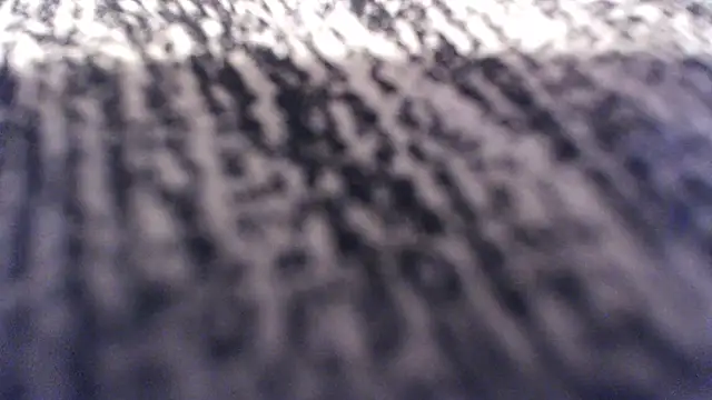 Cockstar963 Live Chatraum