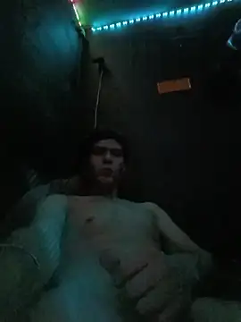LAIR23 Show in webcam