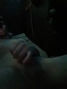 Show webcam de LAIR23