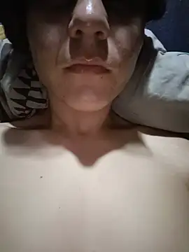 Show webcam de LAIR23