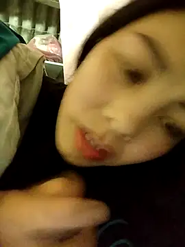 Sinejdk3 Webcam-Show