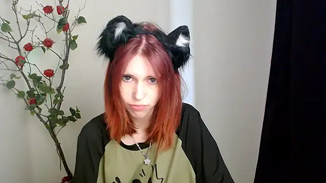 GuessMe___ Show in webcam